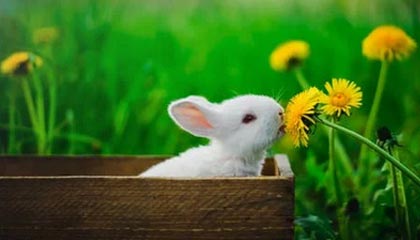 蓬莱伴游,定制QQ:3494206190微信:act1322